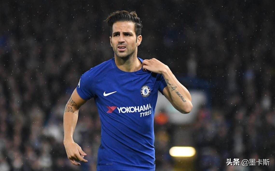 法布雷加斯还在切尔西吗,法布雷加斯世界杯传球