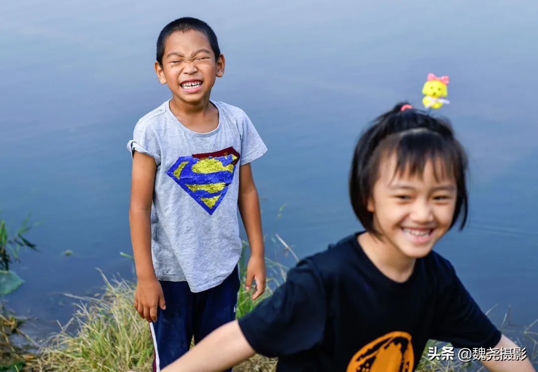 北京北坞公园里的京西稻又熟了，曾经只有皇上才能吃上这儿的大米