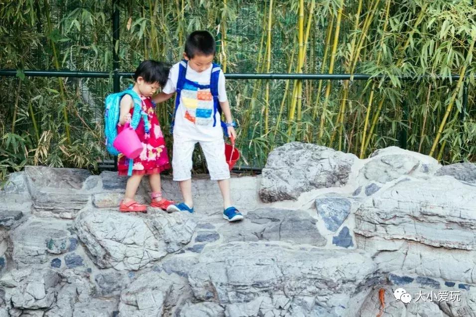 旅行必备好物遛娃神器,夏天遛娃神器推荐小巧