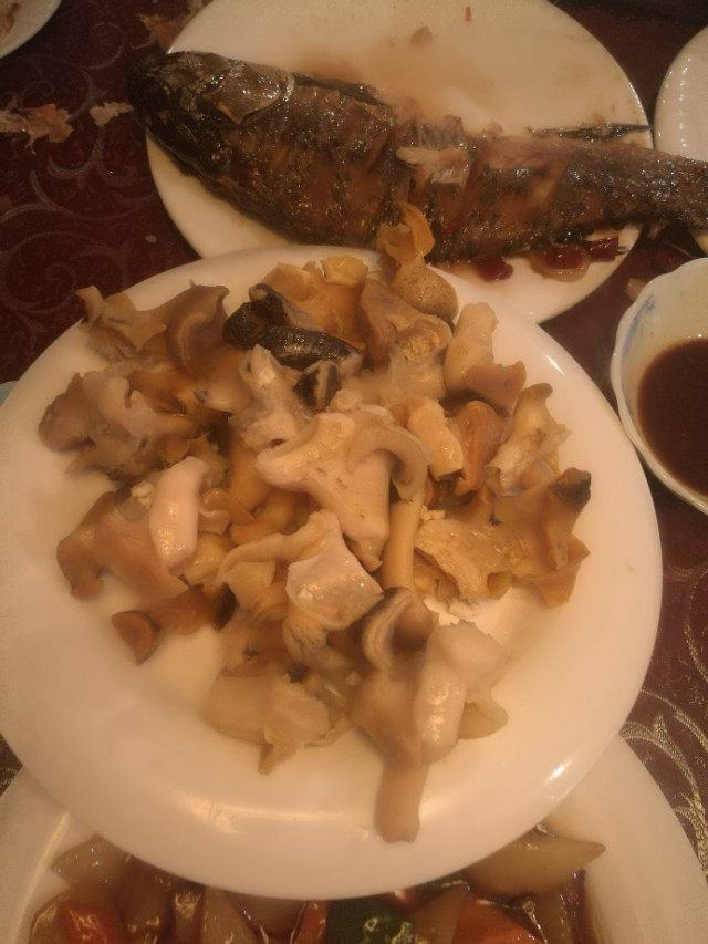 去海参崴应该注意的事项,海参崴可以呆几天