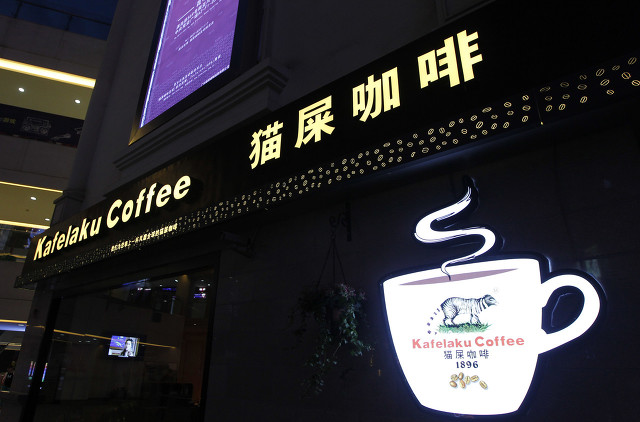 猫屎咖啡为什么很难喝,猫屎咖啡是怎么来的全过程