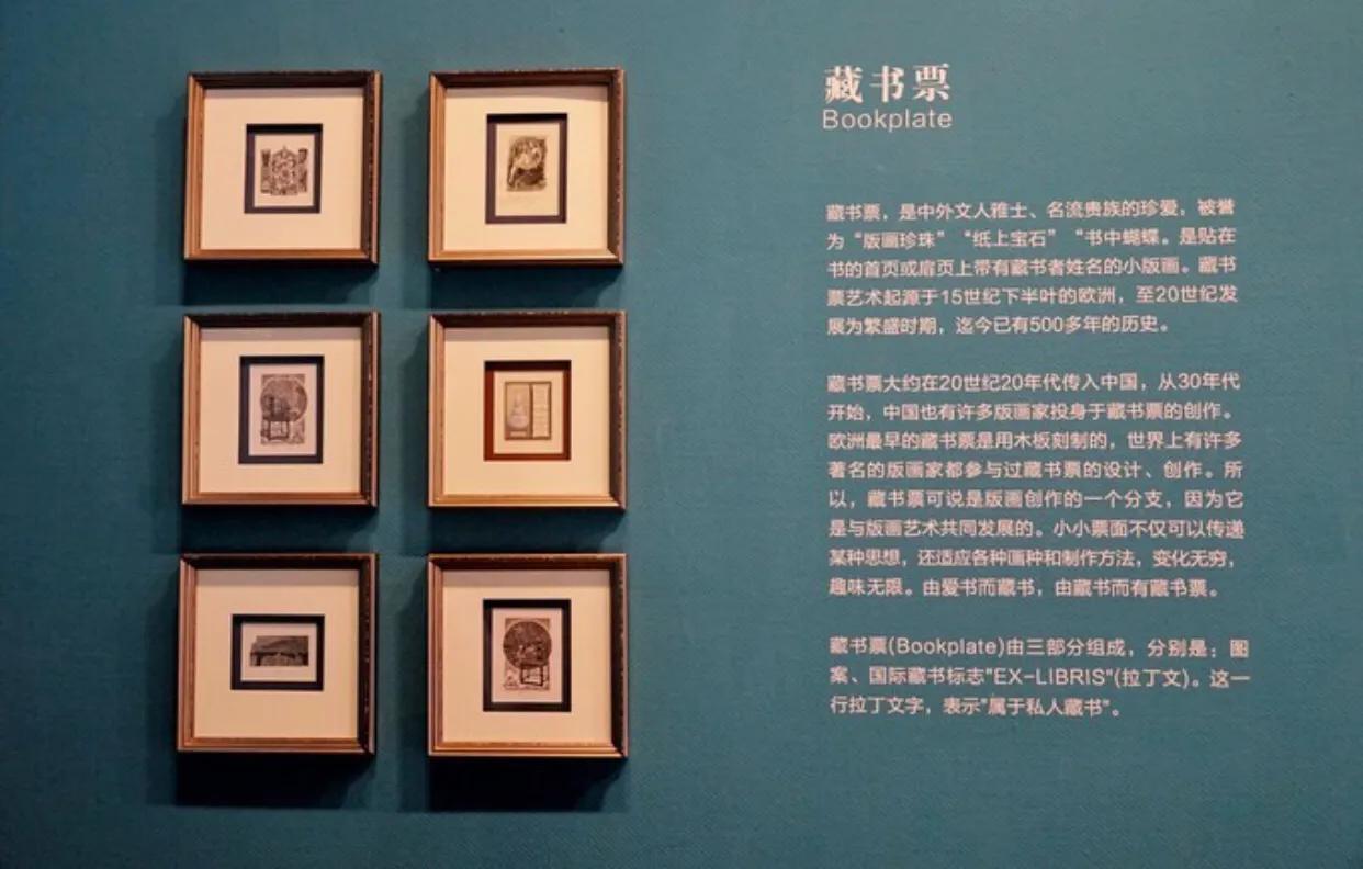 深圳暑假推荐地方,深圳适合高中生参观的地方