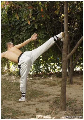 少林绝技四段功,少林72绝技桩功