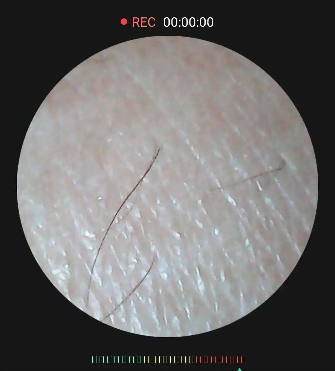 带着小红帽披着黄披肩，只为贵族服务，印度人的“绝活”还真不少