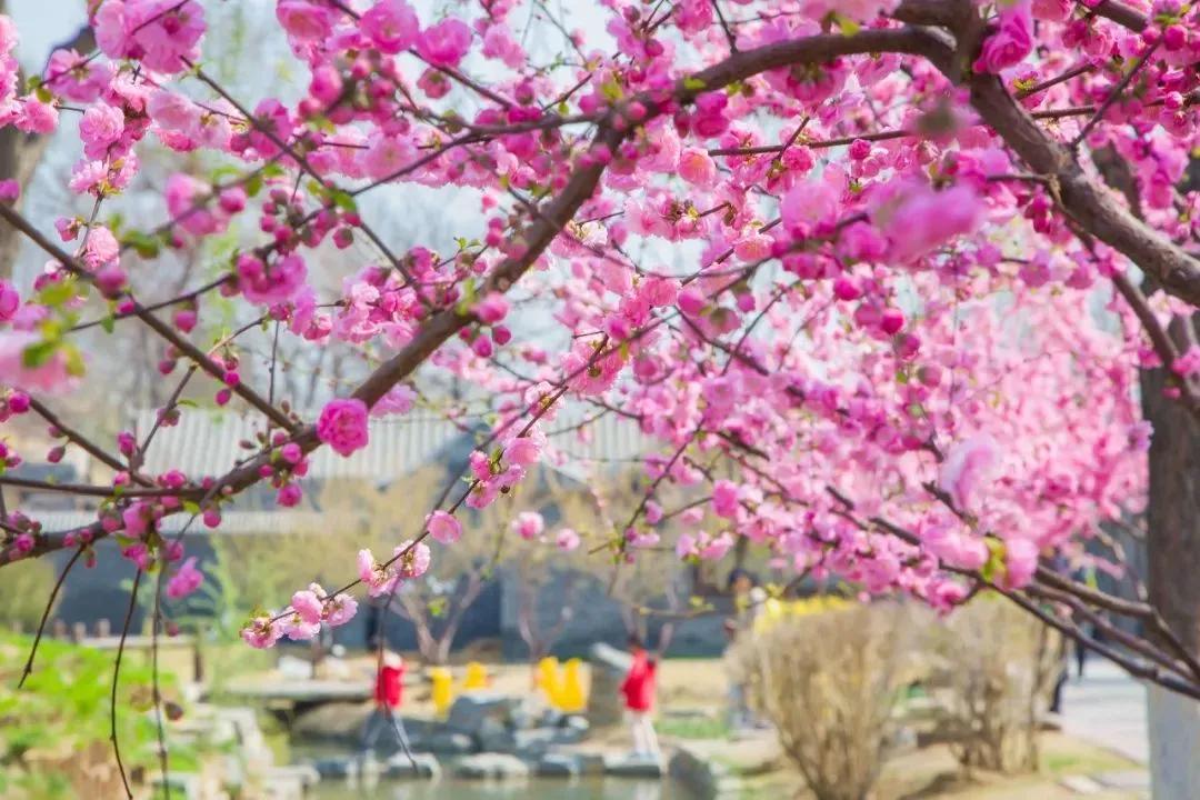 四月发生的事,东城发生的事