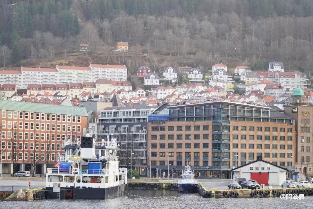 为了吃世界上最好吃的青花鱼，我飞去了挪威，光是捕捞船价值4亿