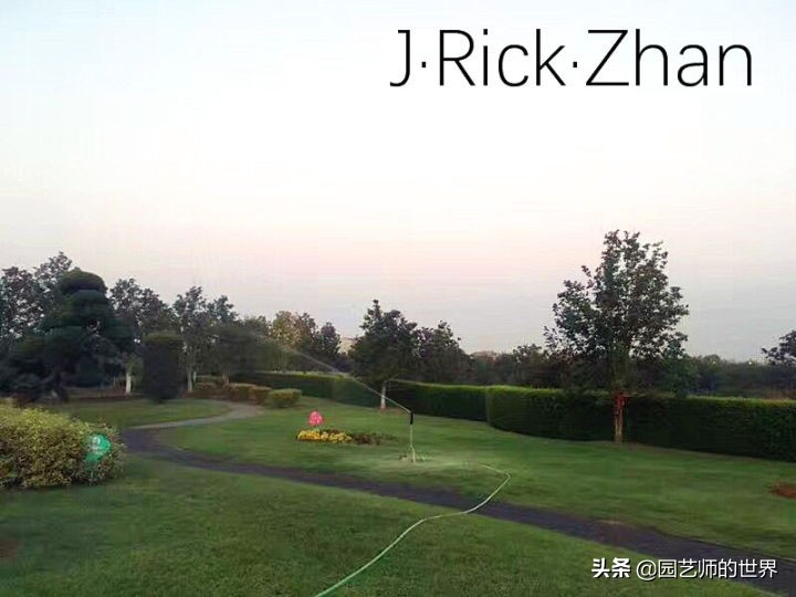 怎样种植草坪技术,果岭草坪的种植养护方法及技巧