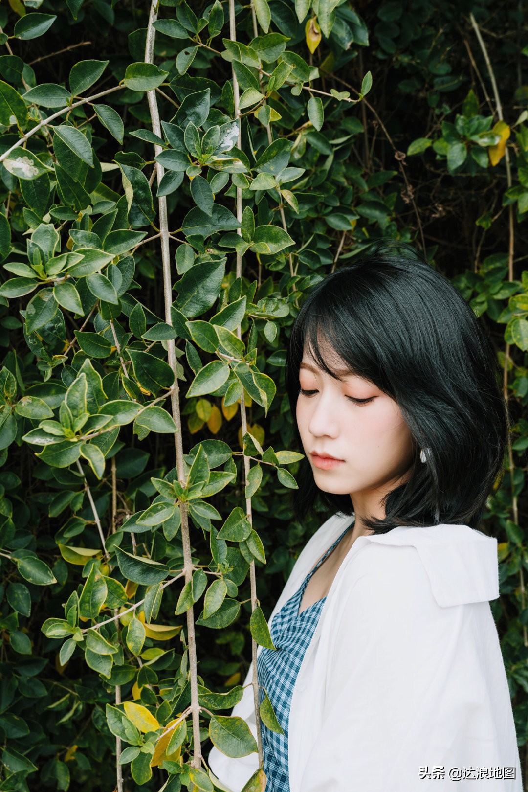 在涠洲岛上怎么回去,涠洲岛一天一晚攻略