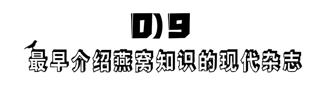 燕窝的故事大全视频,燕窝相关的故事