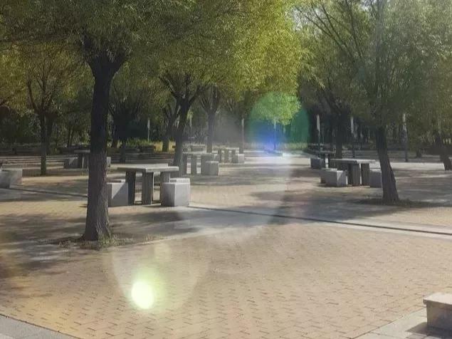 辽宁省普通高等院校,辽宁省沈阳本科大学