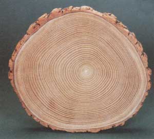 挑选实木餐桌还在迷茫？看了这些你就懂了