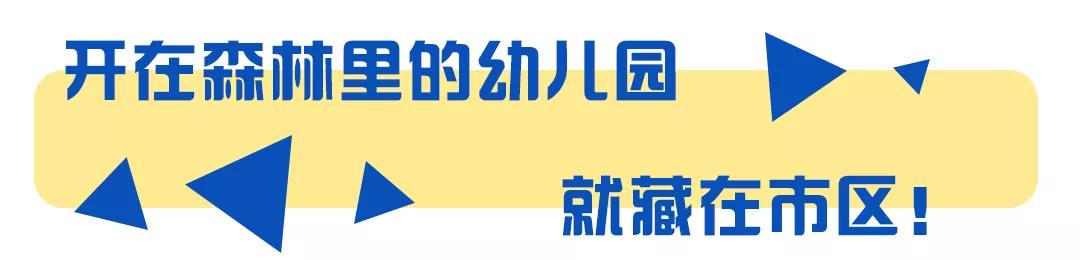 郴州城东公立幼儿园,郴州的公办幼儿园有哪些