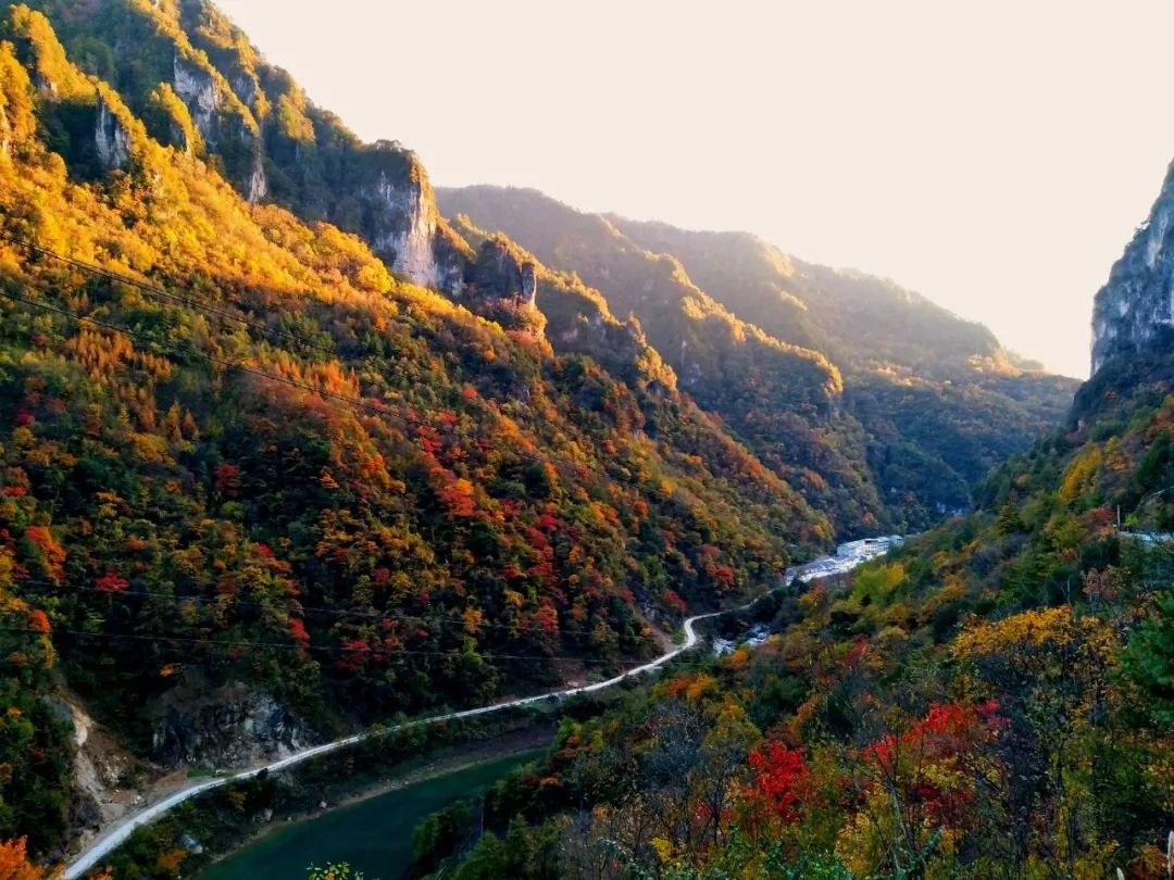 还没想好国庆去哪？自驾2.5小时，在秋日里泡温泉吃美食