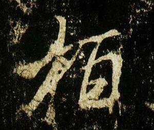 柏作为姓氏的时候该读什么,柏作为姓氏应该怎么念