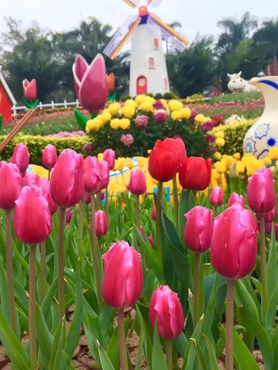 春节游玩攻略正式上线,春节嗨玩攻略