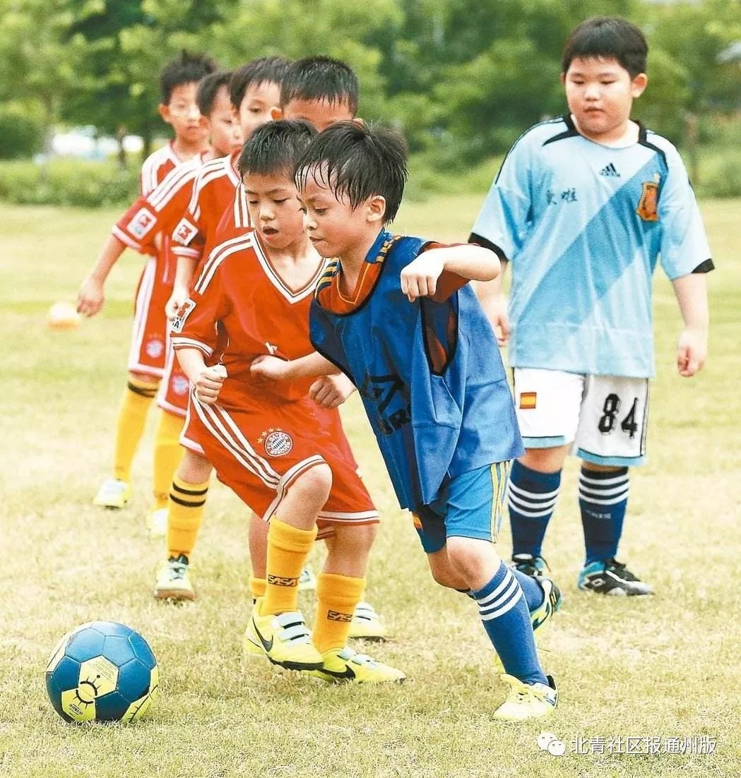 北京通州区重点小学最新排名,北京市通州最好的学校排名