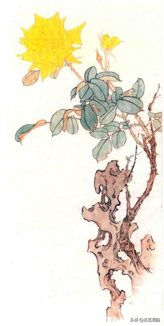 国画月季画法视频教程,工笔月季枝干的画法