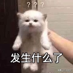 英国利物浦住宿攻略,英国留学住宿费用一览表