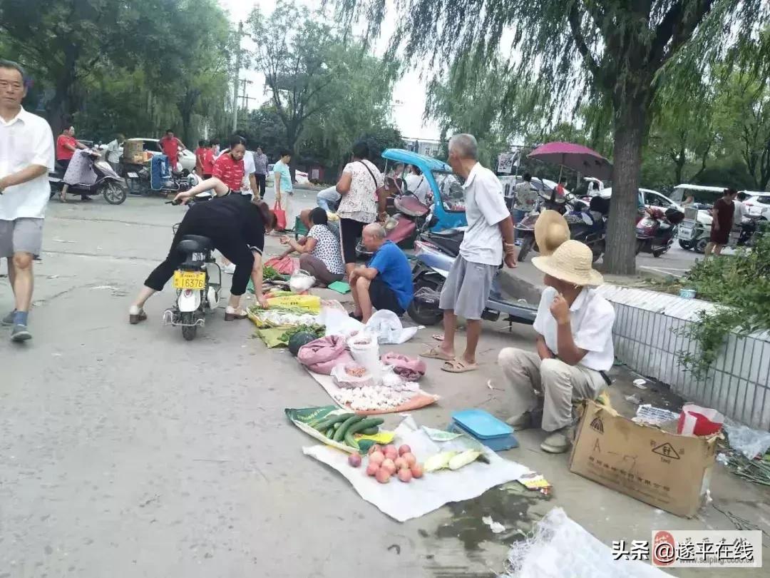 遂平县各大农贸菜市场,图说遂平清晨的菜市场
