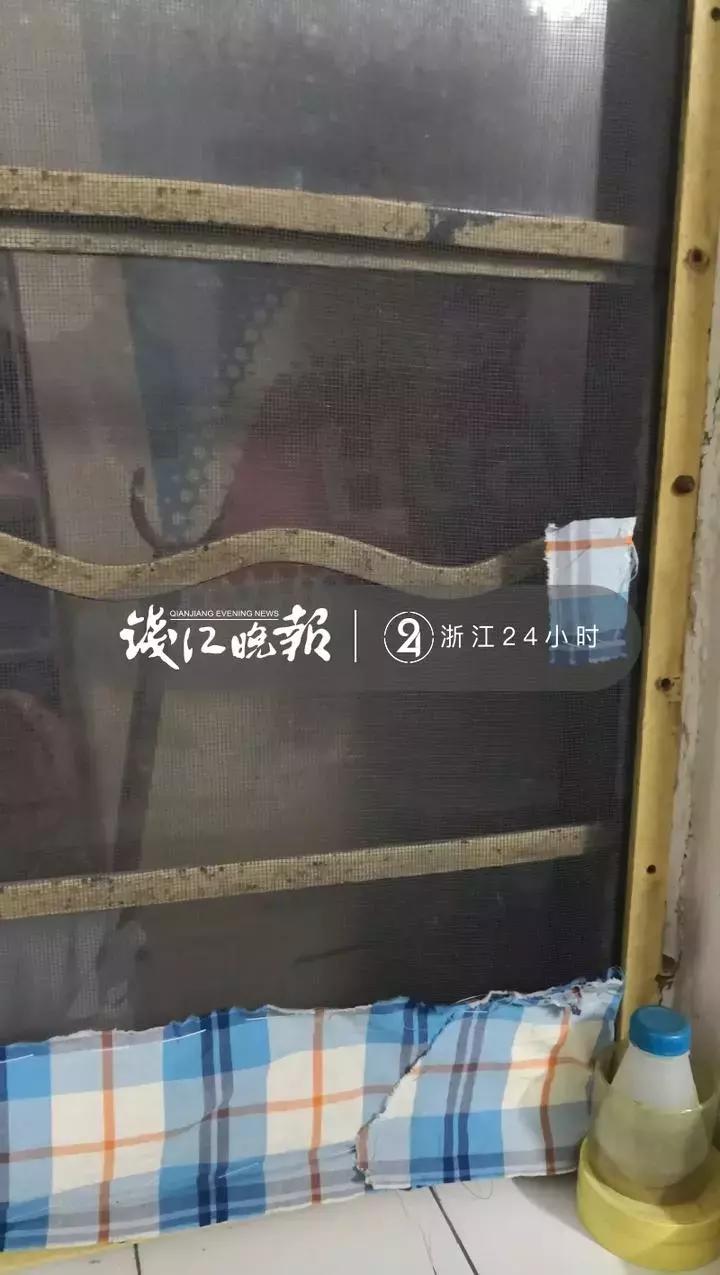 杭州市朝晖六区危楼,危楼重建杭州