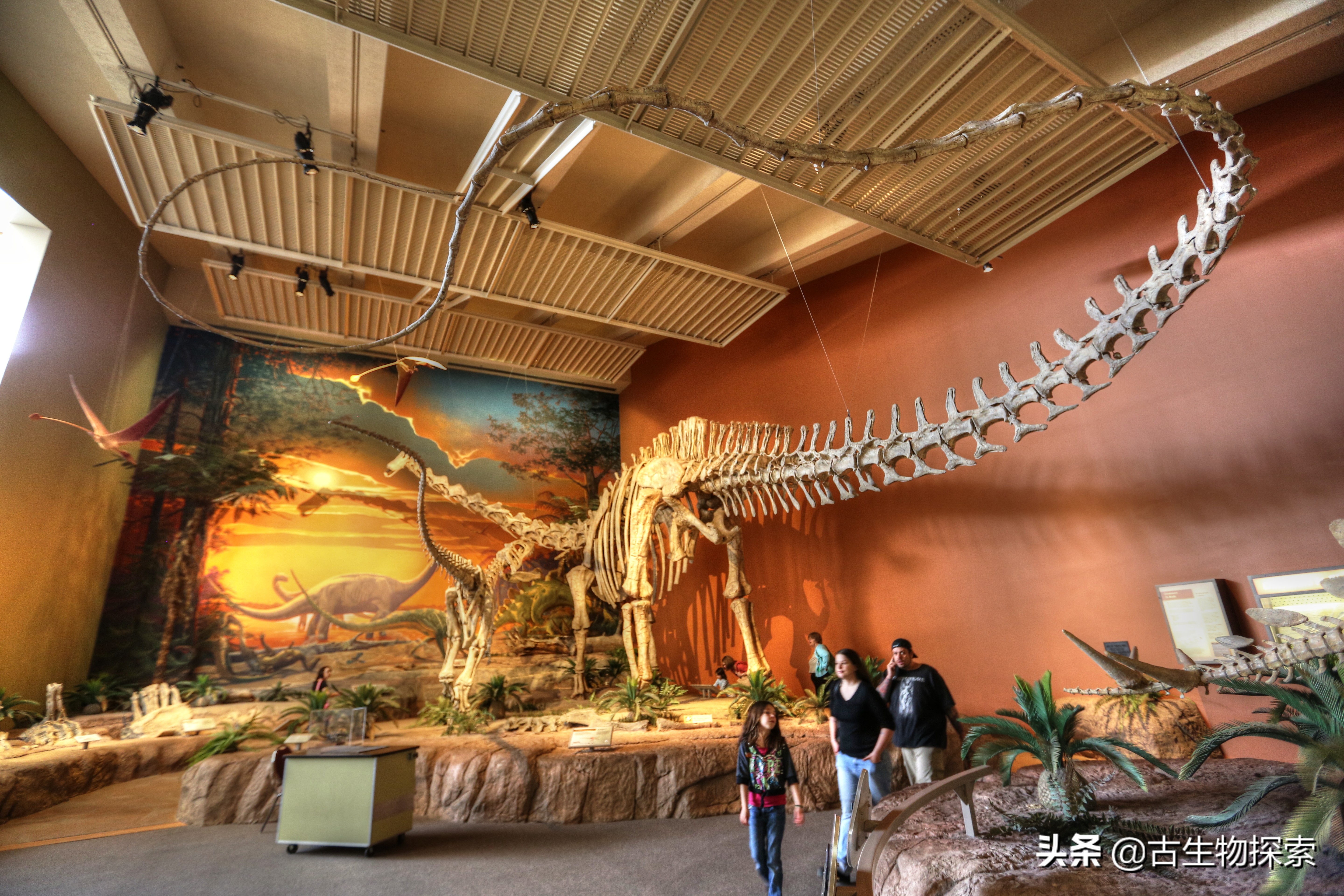 超级巨龙和金牌巨龙,超级巨龙进化