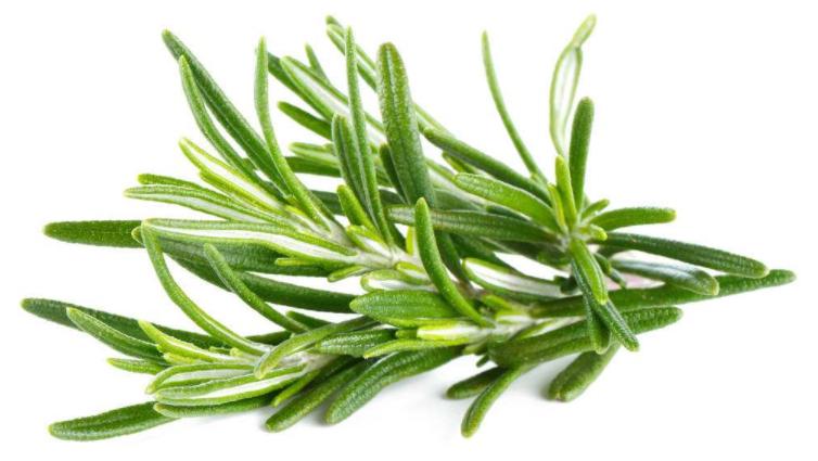 正确消除螨虫的方法,别让螨虫毁了