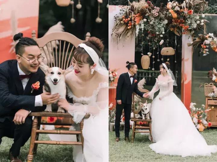 简单又有创意的婚礼方案,幼儿园特色婚礼主题案例