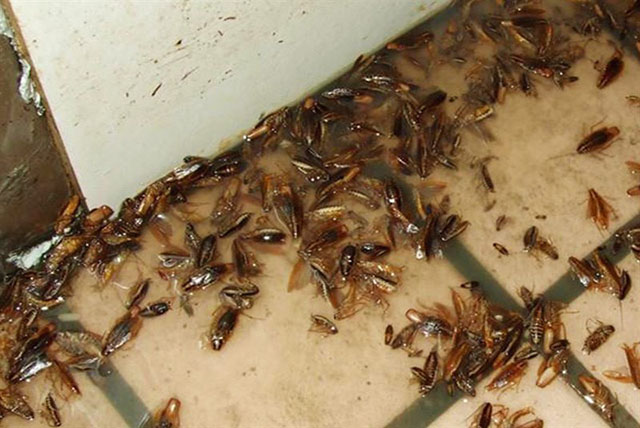 让人惊讶又有趣的冷知识,那些有趣的冷知识