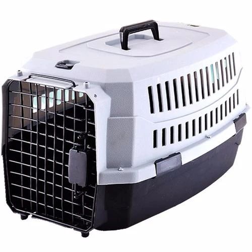 天气热如何预防猫中暑,怎么判断猫中暑很严重