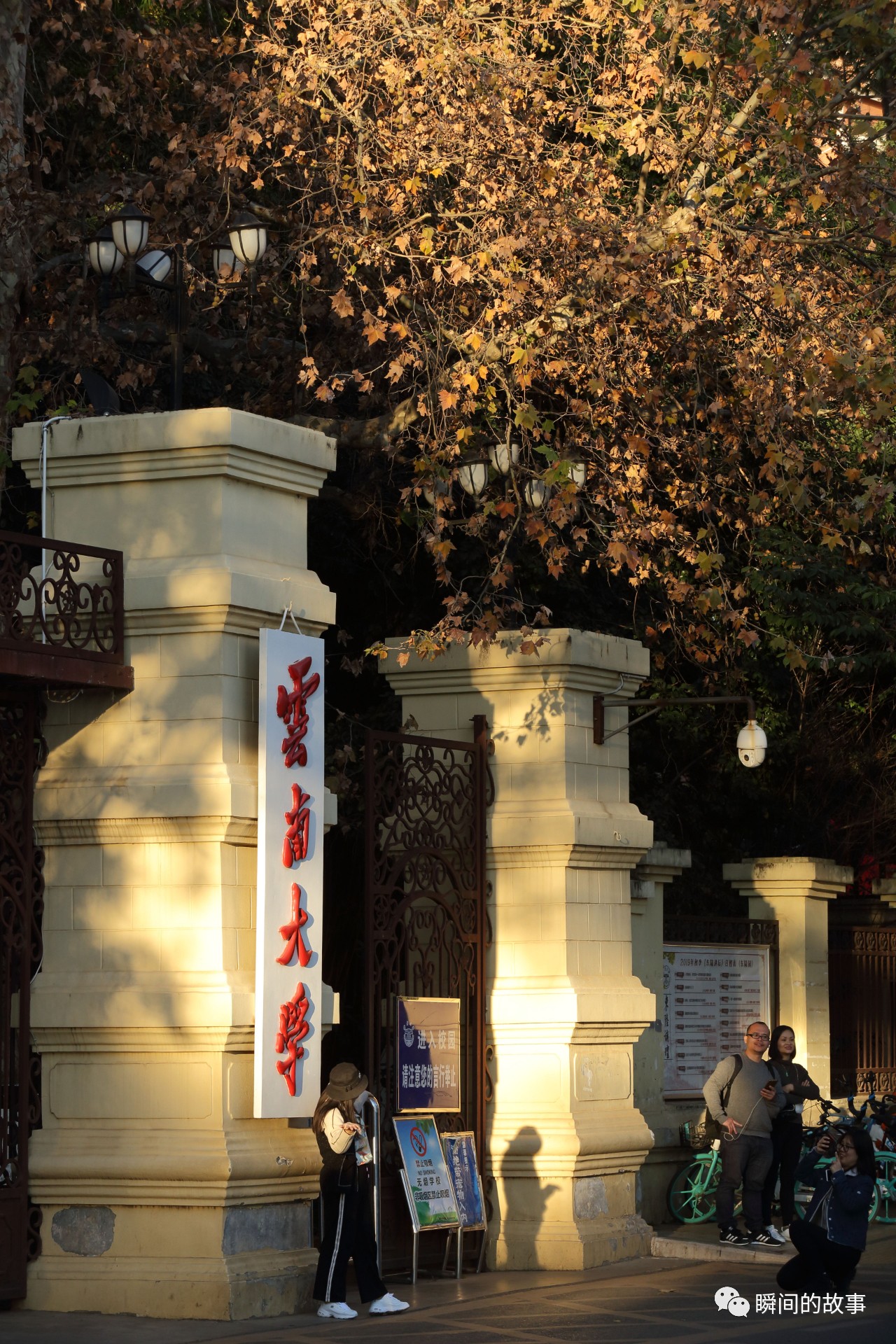 昆明旅游攻略大学,旅行云南昆明翠湖旁的云南大学