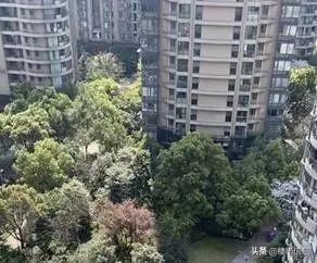 杭州文鼎苑2018房价,杭州文鼎苑房价多少钱一平