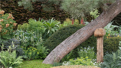 切尔西花展举办,2020年切尔西花展抢先看