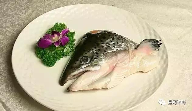 三文鱼都可以做成哪些好吃的,三文鱼鱼头适合多吃吗