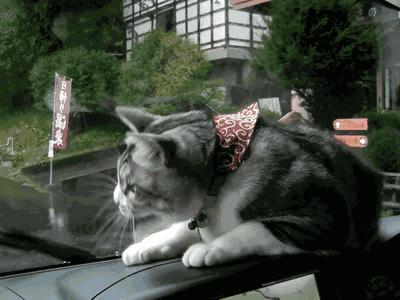 搞笑gif段子妹子有点太淘气了,搞笑gif妹子你又调皮了