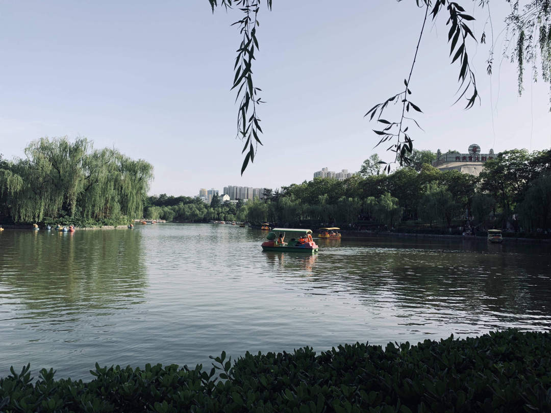 最美的西安兴庆公园,西安兴庆公园一道美丽的风景线