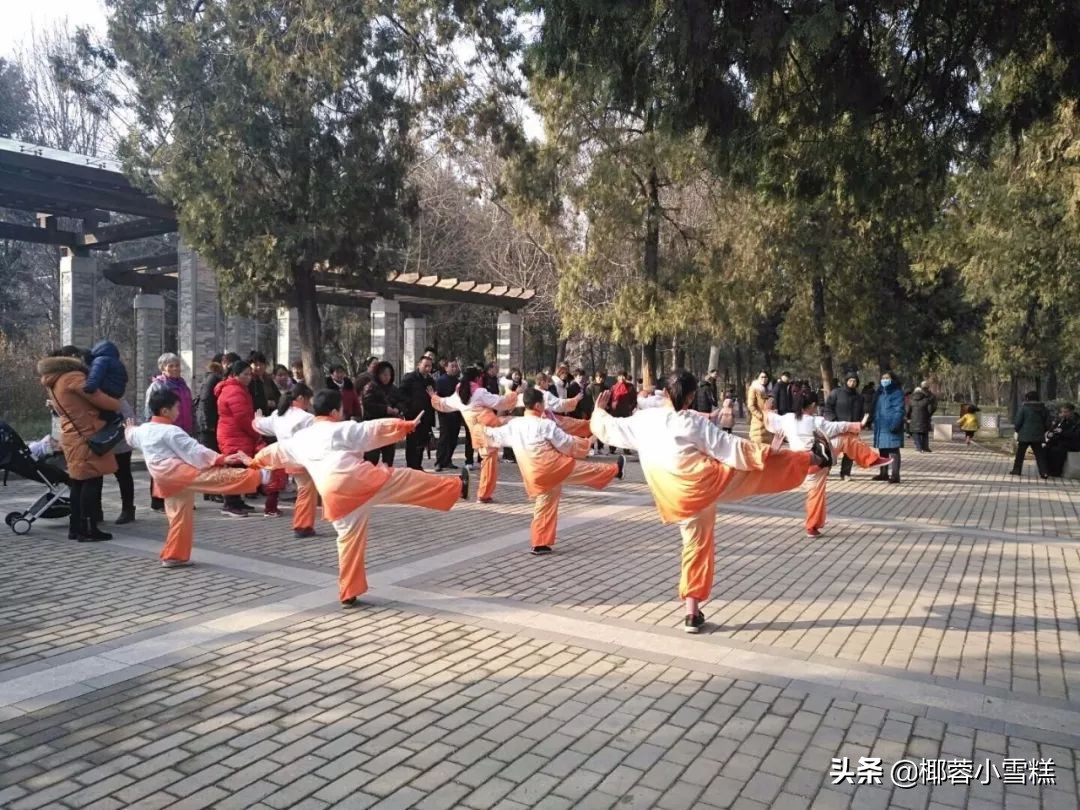 郑州适合晨跑的地方,郑州晨跑圣地