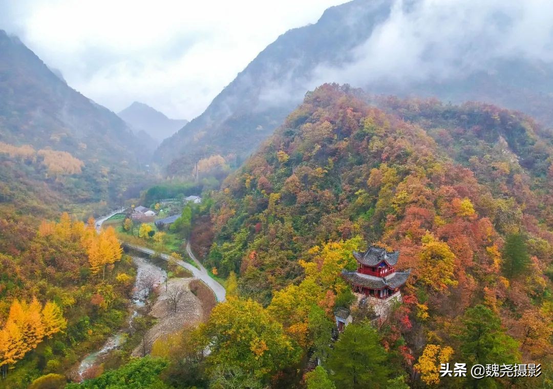 留坝秦岭之夜,留坝秦岭森林公园