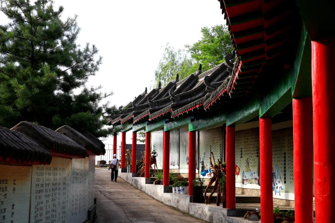 祖国颂|走进大梨树看小康