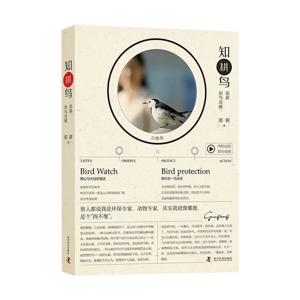 春回大地鸟语花香万物复苏,春回大地鸟语花香