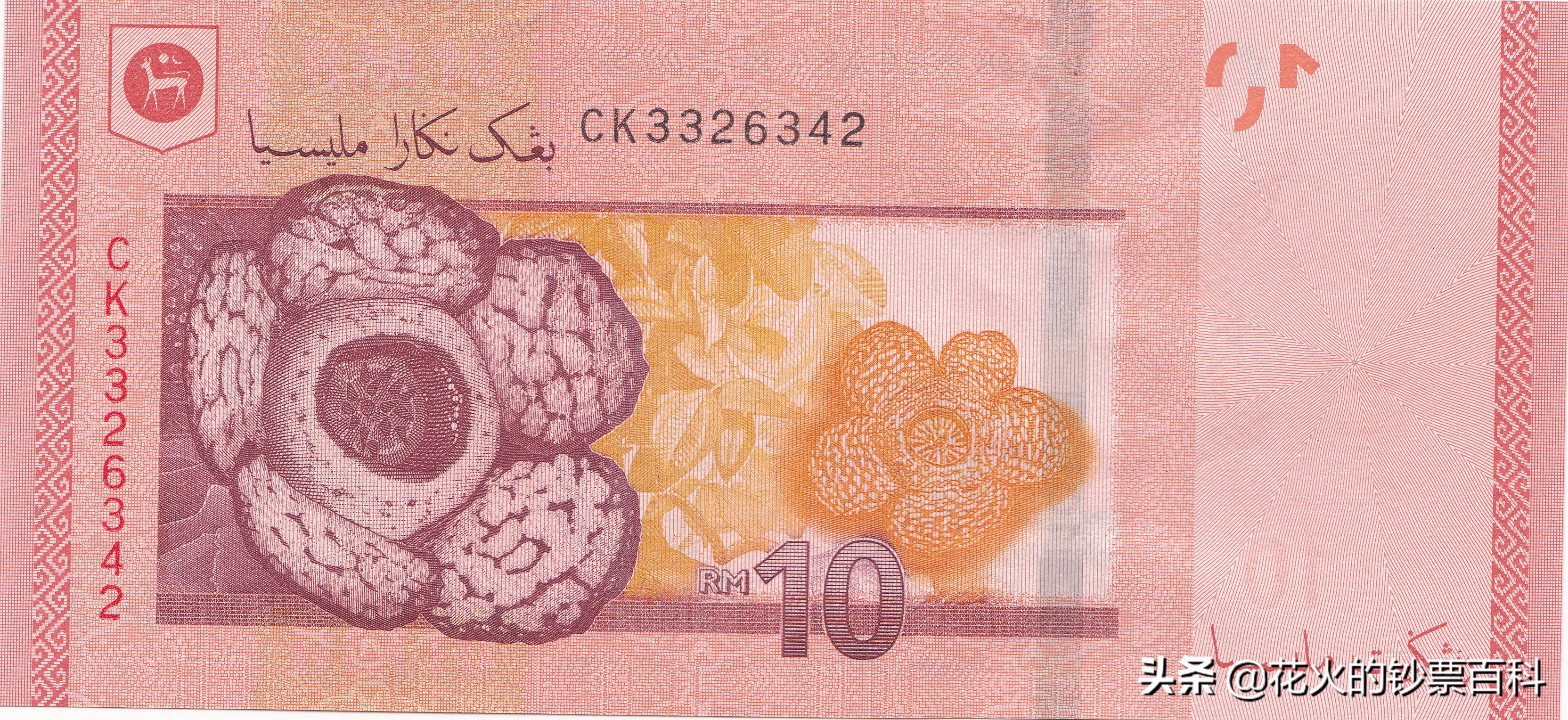 马来西亚新版钞票,让你看看马来西亚人有多漂亮