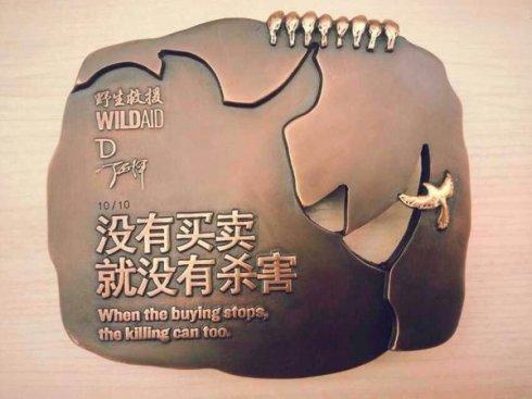 罕见泸州再现水中大熊猫桃花水母,四川成都发现水中大熊猫桃花水母