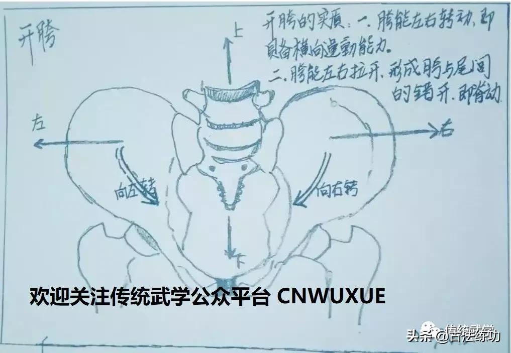 开肩减胯,提胯压肩这个动作怎么做