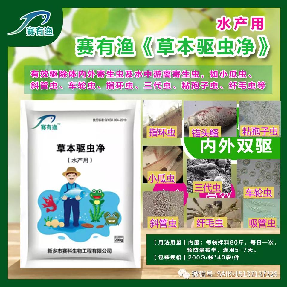 鱼类细菌性出血病治疗方案,鱼类应激性出血症防治