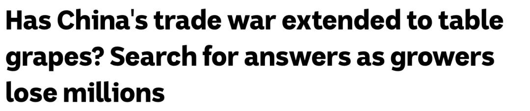 又一澳洲热门产品受阻！澳媒：澳洲留学业务遭中国中介叫停