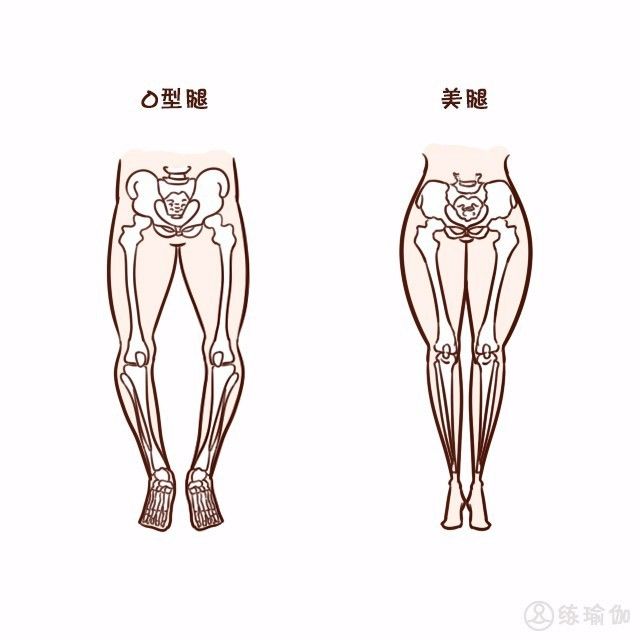 一分钟辨别你的身材,一秒认清自己的腿型