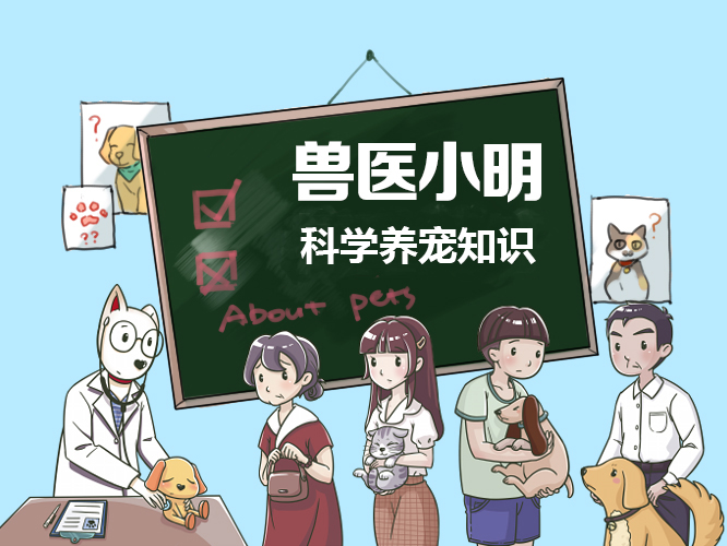 狗狗呕吐怎么办要不要带去医院,狗狗呕吐不吃不喝嘴里还一股臭味