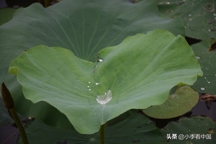 江苏常熟沙家浜旅游攻略,江苏常熟沙家浜地图