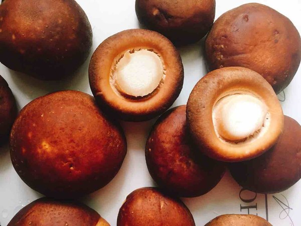 最好的灵芝草,灵芝草大的好还是小的好