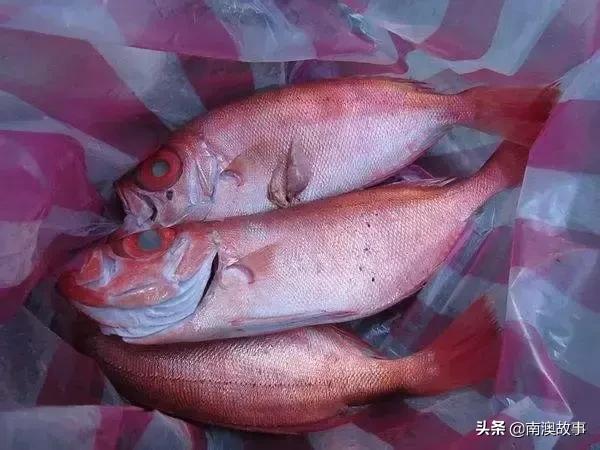 南澳渔民捕鱼视频,南澳渔民出海