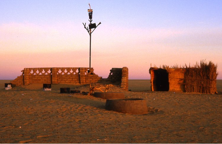 世界十大最孤独的树,世界上最孤独的树在哪